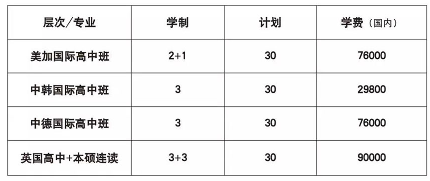 2021年济南深泉外国语学校学费多少